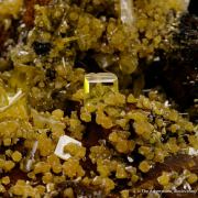 Wulfenite with Mimetite