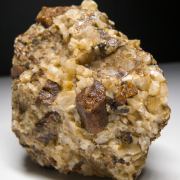 Bustamite