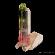 Tourmaline on Quartz (floater)