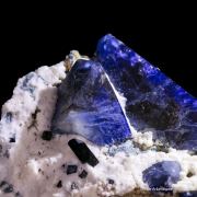 Benitoite with Neptunite