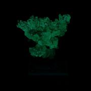 OPAL HYALITE - Kopasz Hill, Tarcal, Zemplen Mounts , Hungary (fluorescent)