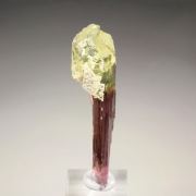 scepter TOURMALINE var. ELBAITE