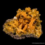 Wulfenite