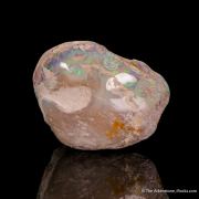 Opal replacement of Clam Fossil