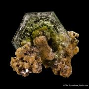 Fluorapatite on Muscovite