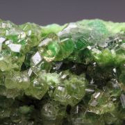 gem GARNET var. GROSSULAR with GREEN CHROMIAN PHANTOMS, DIOPSIDE