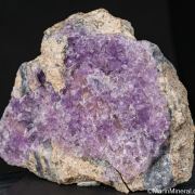 Creedite