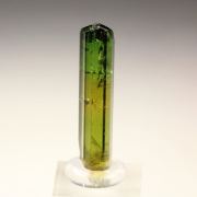 gem TOURMALINE var. DRAVITE