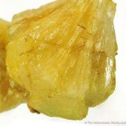 Adamite