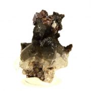 Anatase + Quartz + Chlorite.