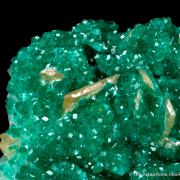 Wulfenite and Dioptase on Calcite