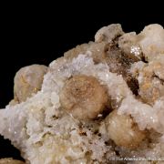 Olmiite on Calcite