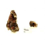 Grossular Garnet + Andalusite.