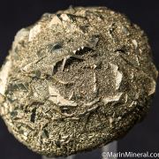 Pyrite after Clam