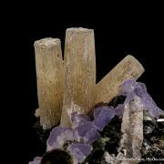 Fluorapatite and Fluorite