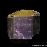 Fluorapatite