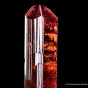 Fluor-liddicoatite Tourmaline