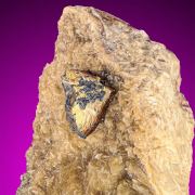 Chalcopyrite  & Galena