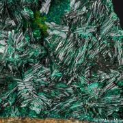 Atacamite