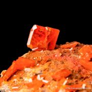 Wulfenite on Mimetite