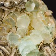 Aquamarine on Muscovite