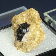 Rutile on Pyrophyllite