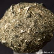 Pyrite after Clam