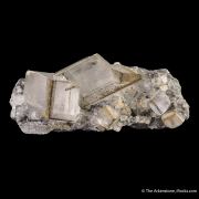 Calcite with Pyrite