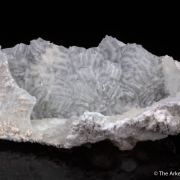 Dolomite Cast after Calcite