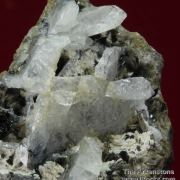 Whitlockite with Arrojadite (KFe), Kulanite, Nahpoite and Quartz