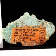 Halloysite + Aragonite.