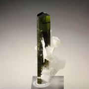 gem TOURMALINE var. ELBAITE, ALBITE