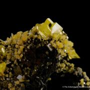 Wulfenite with Mimetite