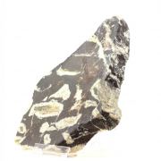 Siderite. 7597.0 ct.