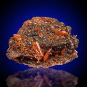 Wulfenite  Ex Dr. H.-J. Wilke Coll.