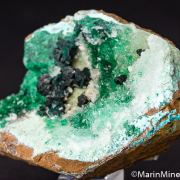 Clinoatacamite