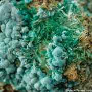 Aurichalcite, Rosasite