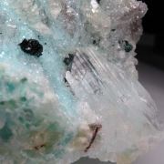 Clinoatacamite with Selenite