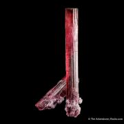 Rubellite Tourmaline