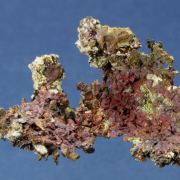 Copper with Cuprite