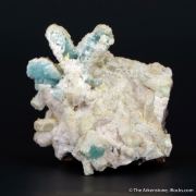 Willemite and Calcite ps. after Azurite with Mimetite