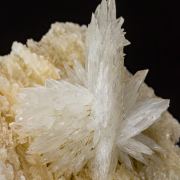 Colemanite