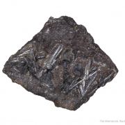 Cylindrite