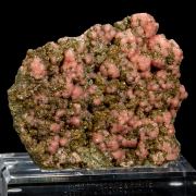 Japanese Rhodochrosite on Pyrite