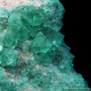 Fluorite (fluorescent)