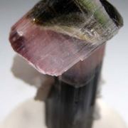 Tourmaline with Albite