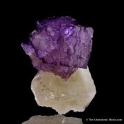 Fluorite on Calcite