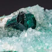 Clinoatacamite