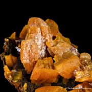 Wulfenite on Mottramite