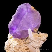 Fluorite on Dolomite and Quartz